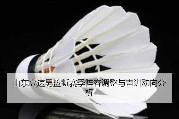 山东高速男篮新赛季阵容调整与青训动向分析 - 8868sports